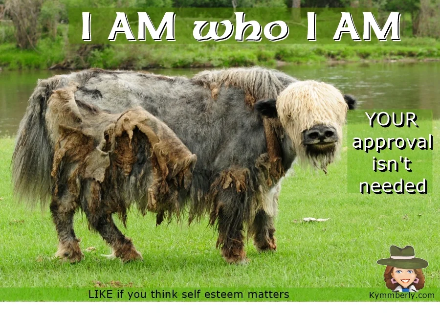 Self Esteem Matters